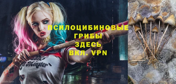 кристаллы Белокуриха