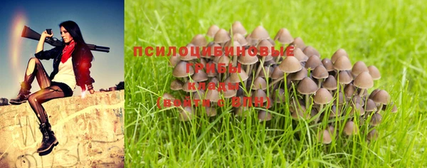 кокс Беломорск